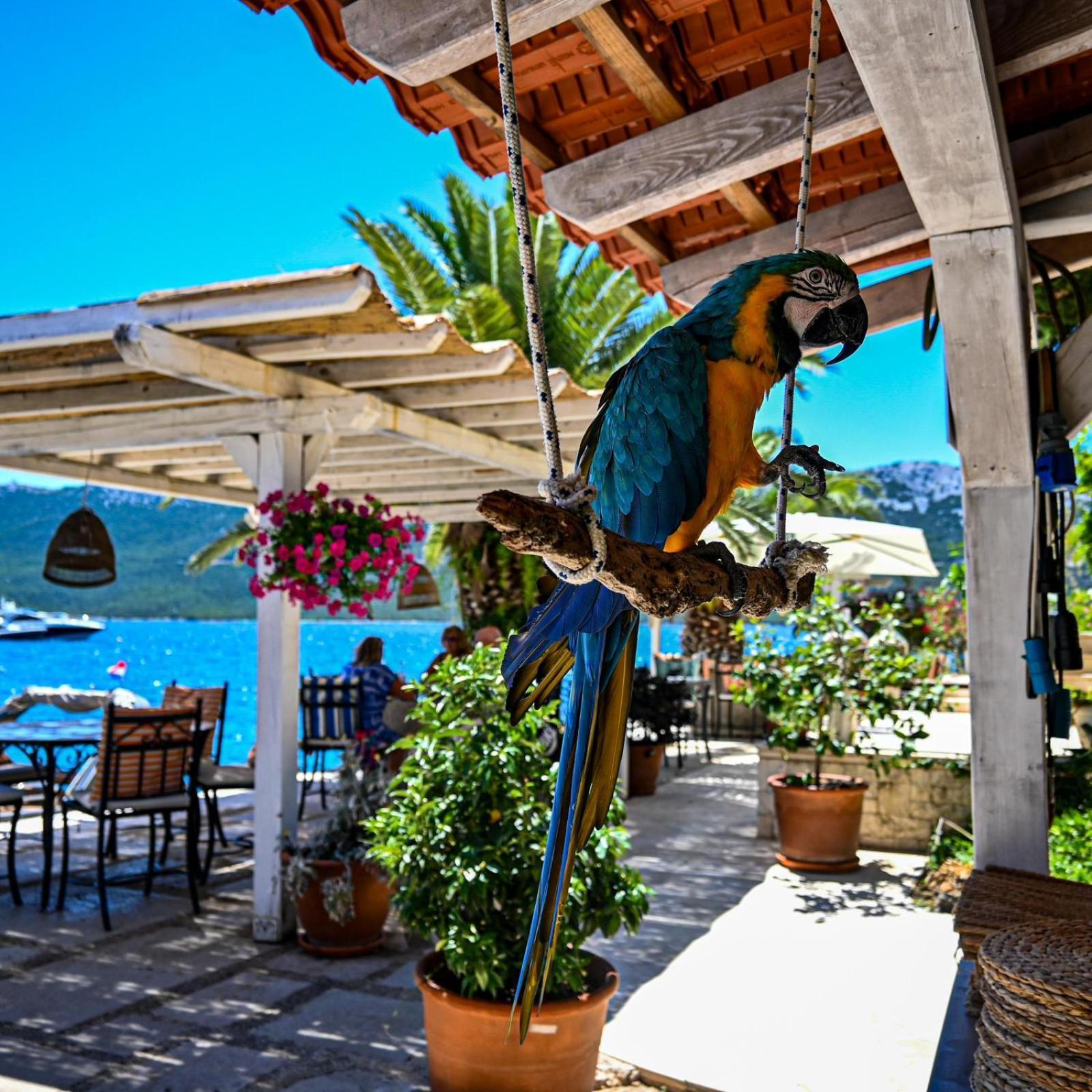 Villa Rava Hotel&restaurant Esterno foto